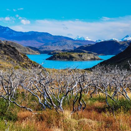 徒步·智利复活节岛+普孔Huerquehue National Park+聂鲁达故居（赛巴斯提安那）12日11晚私家团