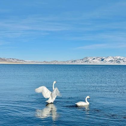 新疆乌鲁木齐+北疆7日6晚私家团