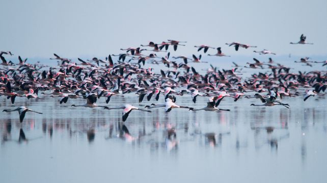 18-Day Cape Town to Victoria Falls Adventure Tour·Lambert's Bay, Orange River, Fish River Canyon, Keetmanshoop, Namib Desert, Swakopmund, Etosha National Park