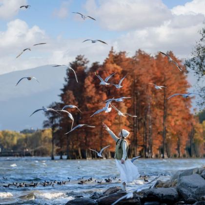 腾冲+瑞丽+芒市7日6晚自由行
