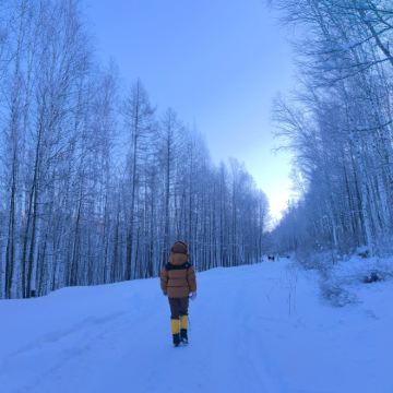 内蒙古呼伦贝尔+海拉尔+额尔古纳+满洲里3日2晚跟团游
