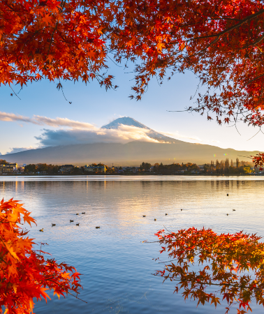 2D1N • Mount Fuji & Owakudani, Hakone & Kamakura 2-Day Tour (Small Group of up to 9 People, Accommodation Included + Hotel Pick-up and Drop-off)