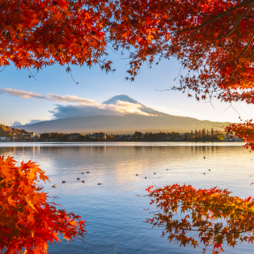 日本东京+富士山+大阪+京都6日5晚跟团游