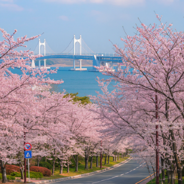 釜山+首尔6日5晚私家团