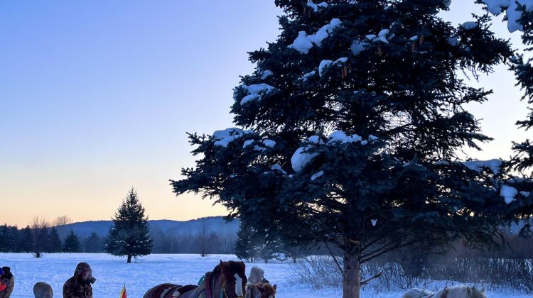 8-Day Harbin + Changbai Mountain + Yanji + Mohe + Arctic village