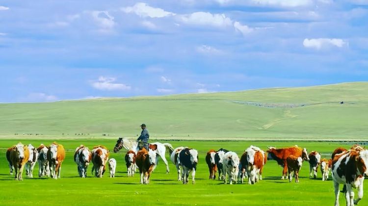 2D1N · Group Tours · Inner Mongolia, China + Hohhot + Ulan Hada Volcano Geopark + Huitengxile Grassland + Hassuhai + Kubuqi Desert 