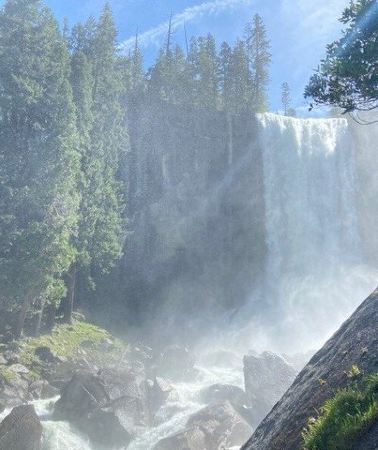 2D1N • San Francisco to Kings Canyon and Yosemite 2 Day Tour
