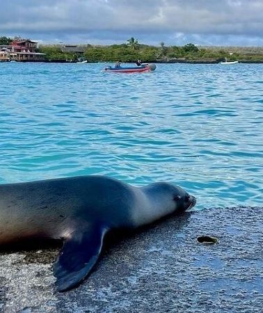 4D3N • 4-Day Santa Cruz Galapagos and Wildlife Adventure