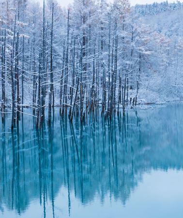 8D7N • Hokkaido Winter Wonderland: Noboribetsu Hot Springs + Lake Toya Cruise + Mount Asahi + Asahiyama Zoo + Blue Pond + Shirahige Falls + Sapporo White Illumination