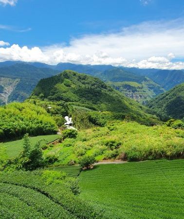 3D2N • Private 3-Day Tour from Taipei: Sun Moon Lake, Alishan, Lukang
