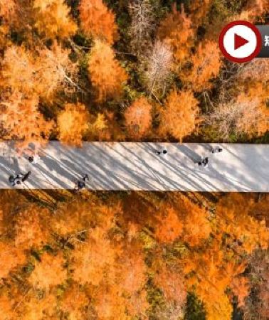 6日5晚 • 江西6天團 · 🍁秋色江西‧蟹逅仙境🍁九江、婺源、上饒、景德鎮、南昌6天純玩高鐵團  【賞秋勝景：婺源石城、篁嶺、鳳凰溝、廬山、魚尾洲公園】、日夜雙遊望仙谷、靈山(雲頂天梯)、弦高古城·西...