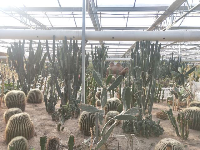 青岛四季亲子乐园旅行图片 1