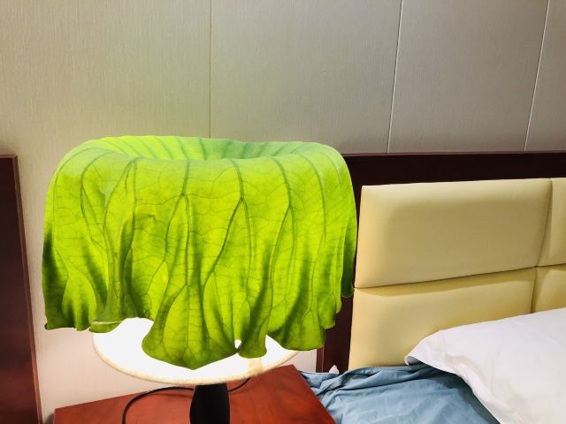 上海崇明荷花博览园旅行图片 2