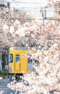 日本东京+富士山+京都+大阪7日6晚拼小团图片