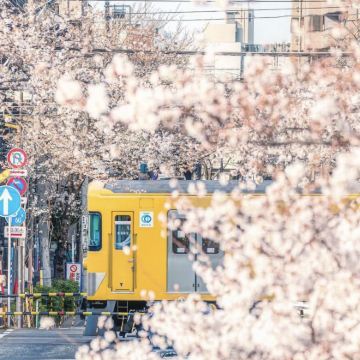 日本东京+富士山+京都+大阪7日6晚拼小团