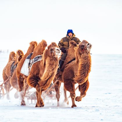呼和浩特+辉腾锡勒草原+响沙湾5日4晚私家团