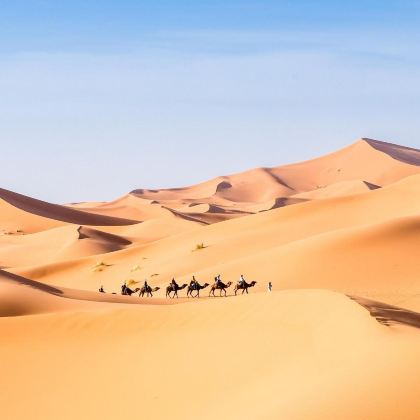 宁夏银川+中卫2日1晚私家团