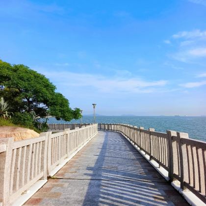 厦门+鼓浪屿5日4晚跟团游