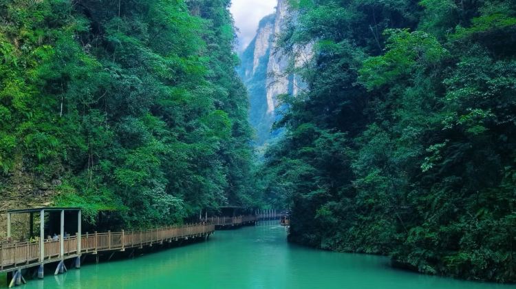 5D4N · Private Tours · Beat the summer heat in Zhangjiajie's cool forests. Enjoy private guided tours, water activities, and flexible vehicle upgrades for your group.