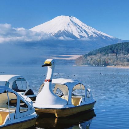 日本东京7日6晚私家团