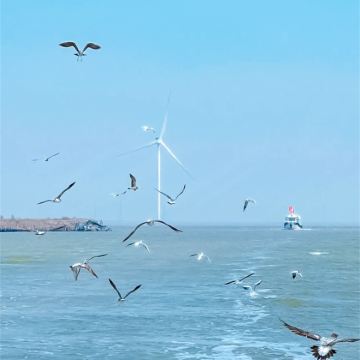 吴桥杂技大世界+南川老街2日1晚跟团游