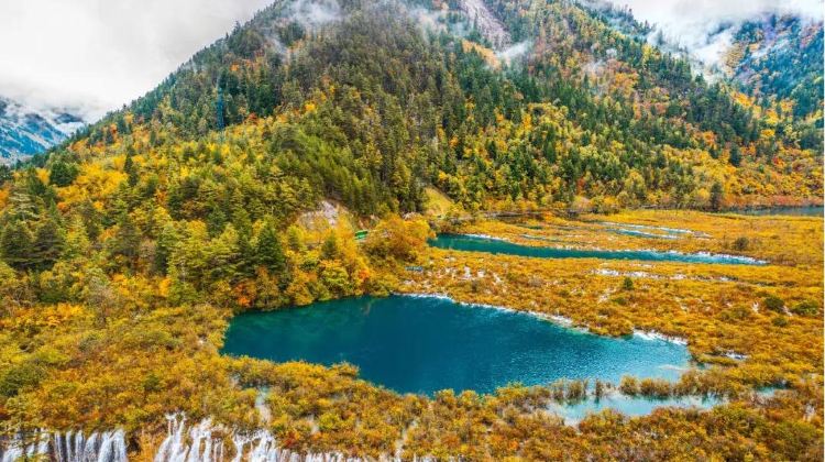6-Day Chongqing + Chengdu Group Tours: Panda+Jiuzhaigou + Huanglong National Scenic Area
