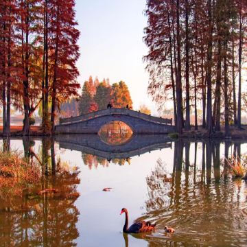 无锡+清名桥古运河景区+无锡市太湖鼋头渚风景区4日3晚私家团