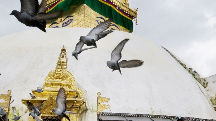 15-Day Delhi to Kathmandu Adventure