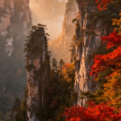 长沙+韶山+张家界+凤凰县8日7晚跟团游