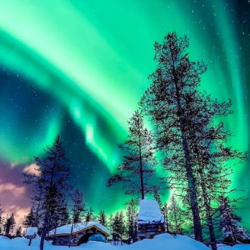 哈尔滨+漠河北极村5日4晚自由行