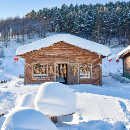 呼伦贝尔+阿尔山+满洲里6日5晚跟团游