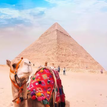 埃及阿斯旺+卢克索+红海Red Sea13日10晚跟团游