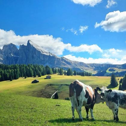 意大利6日5晚拼小团