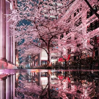 日本东京+富士山5日4晚私家团