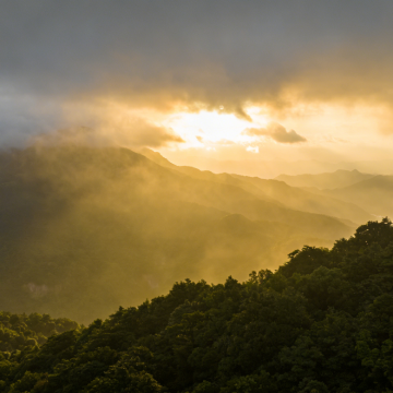 广东惠州+惠东+海龟自然保护区+广东罗浮山风景名胜区3日2晚自由行