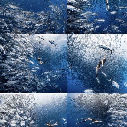 菲律宾薄荷岛+巴里卡萨岛+杜马盖地5日4晚私家团