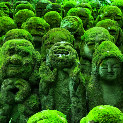 日本14日13晚拼小团