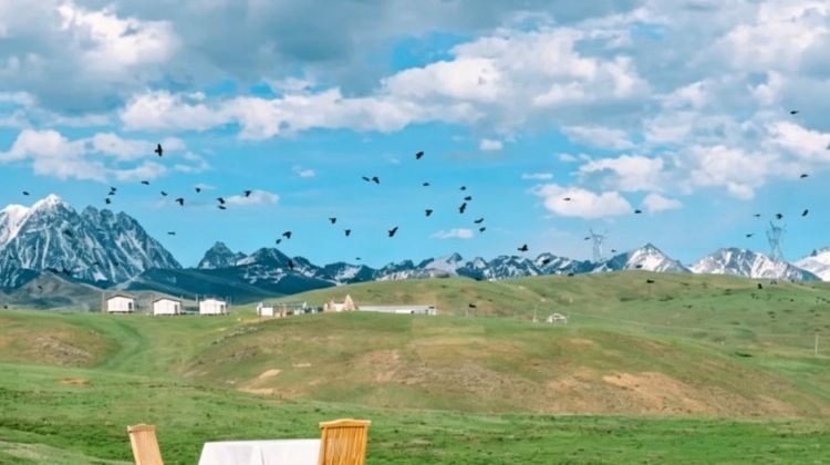 5D4N · Private Tours · Western Sichuan for Nature Lovers: Daocheng Yading, Mount Siguniang, Xinduqiao & Yuzixi - Snow Mountains, Tibetan Grasslands & Starry Skies