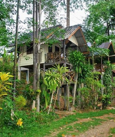 2D1N • 2-Day Khao Sok Jungle Safari from Krabi