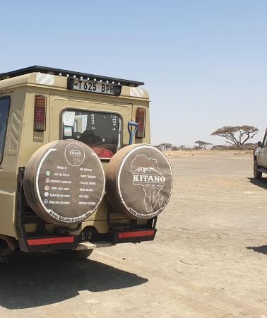 2D1N • 2-Day Tanzania Last-Minute Sharing Safari