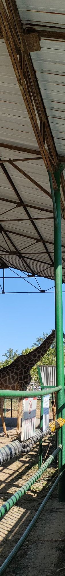 秦皇岛野生动物园-秦皇岛