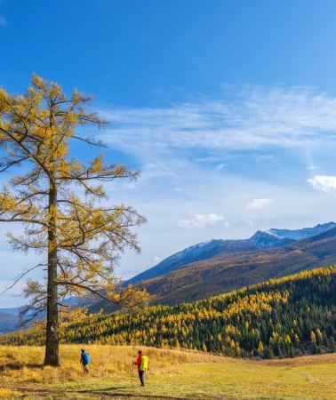 10D9N • Urumqi + Northern Xinjiang + Sayram Lake + Hemu Scenic Area + Nalati Scenic Area + Xinjiang Kanas National Geopark