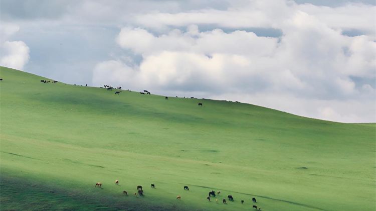 6-Day Hulunbuir + Ergun + Manzhouli