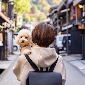 日本名古屋+飞弹高地+白川乡5日4晚跟团游