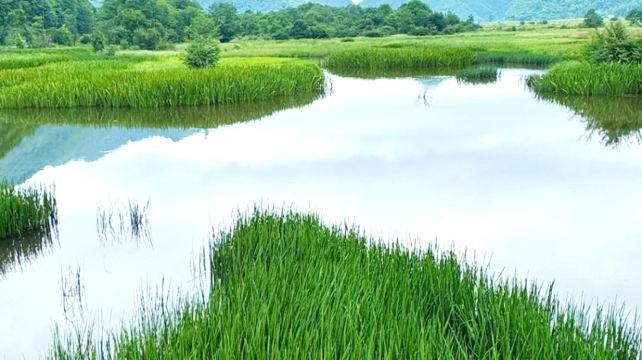 神农架、宜昌+3