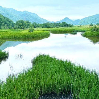 恩施市+神农架5日4晚私家团