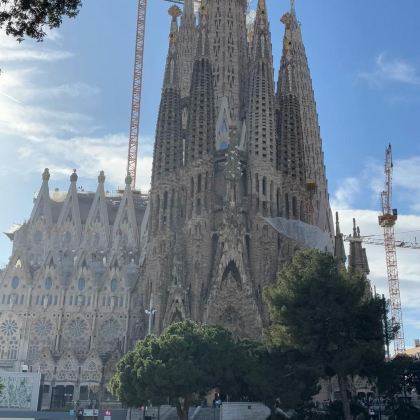 大加那利岛+特内里费岛+马德里11日8晚私家团