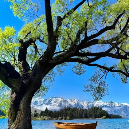 新西兰9日7晚拼小团