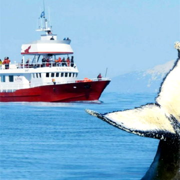 冰岛+黑沙滩+黄金旅游圈6日5晚拼小团