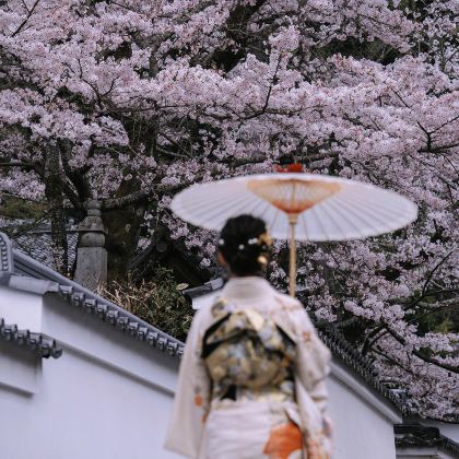 日本大阪+京都4日3晚拼小团